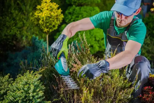 landscaping services Lake Erie Beach